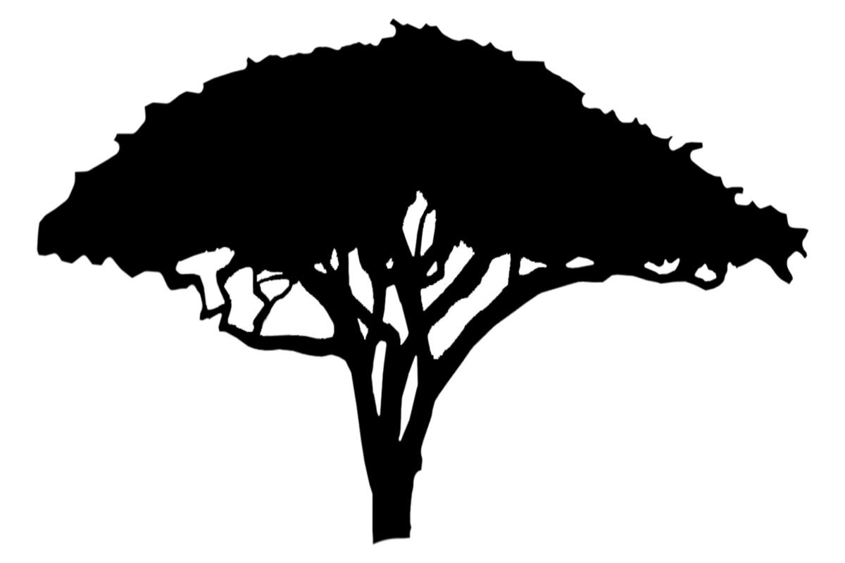 Avatar for Herm Tree Service