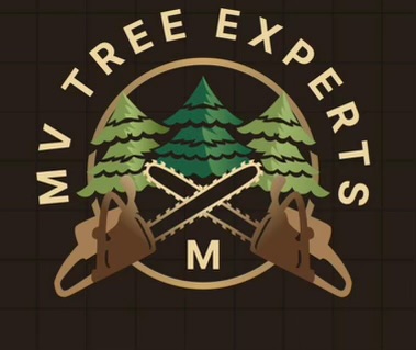 Avatar for MV Tree Experts
