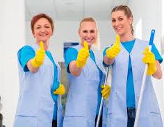 pristine pro janitorial services logo