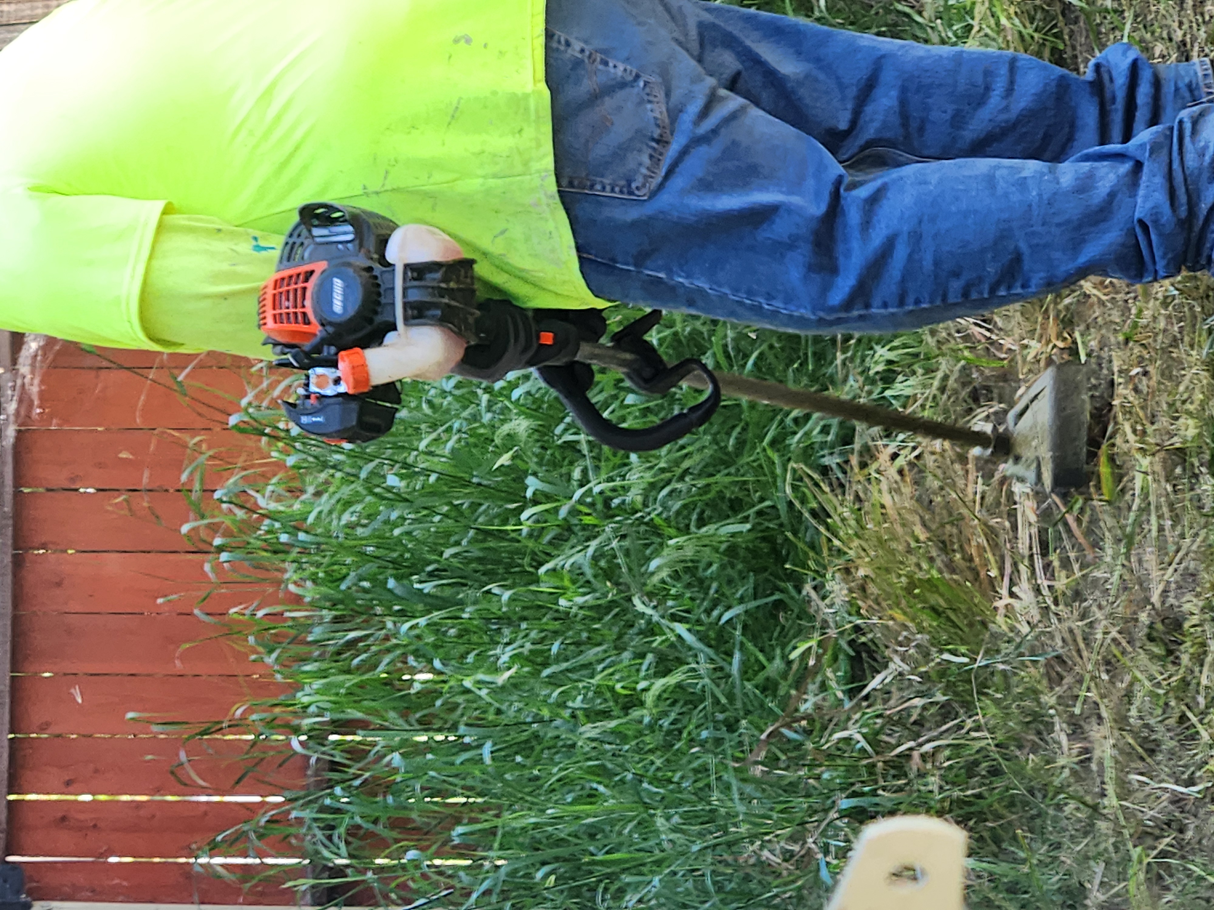 CD pressure washing logo