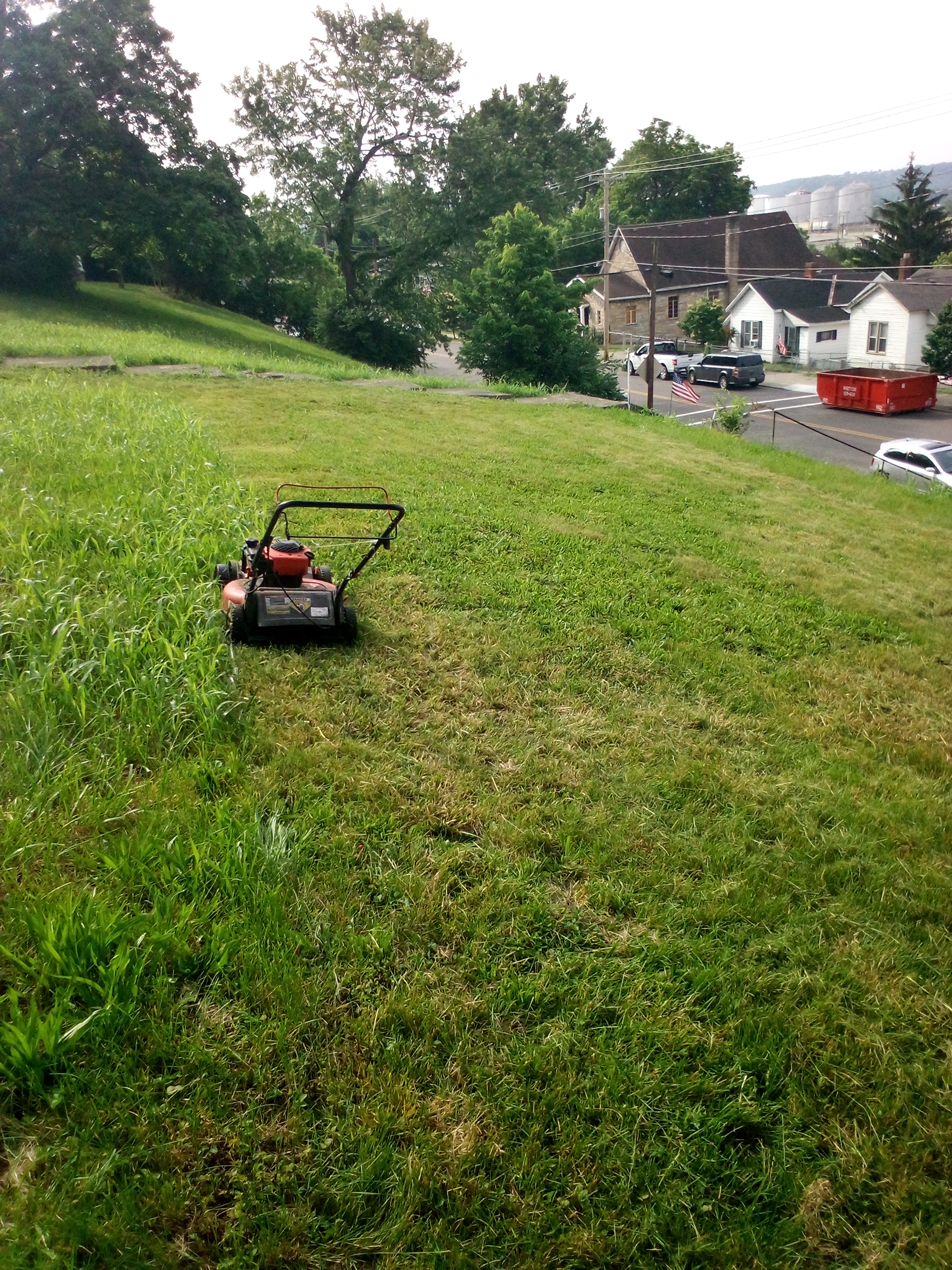 Bg lawn care logo
