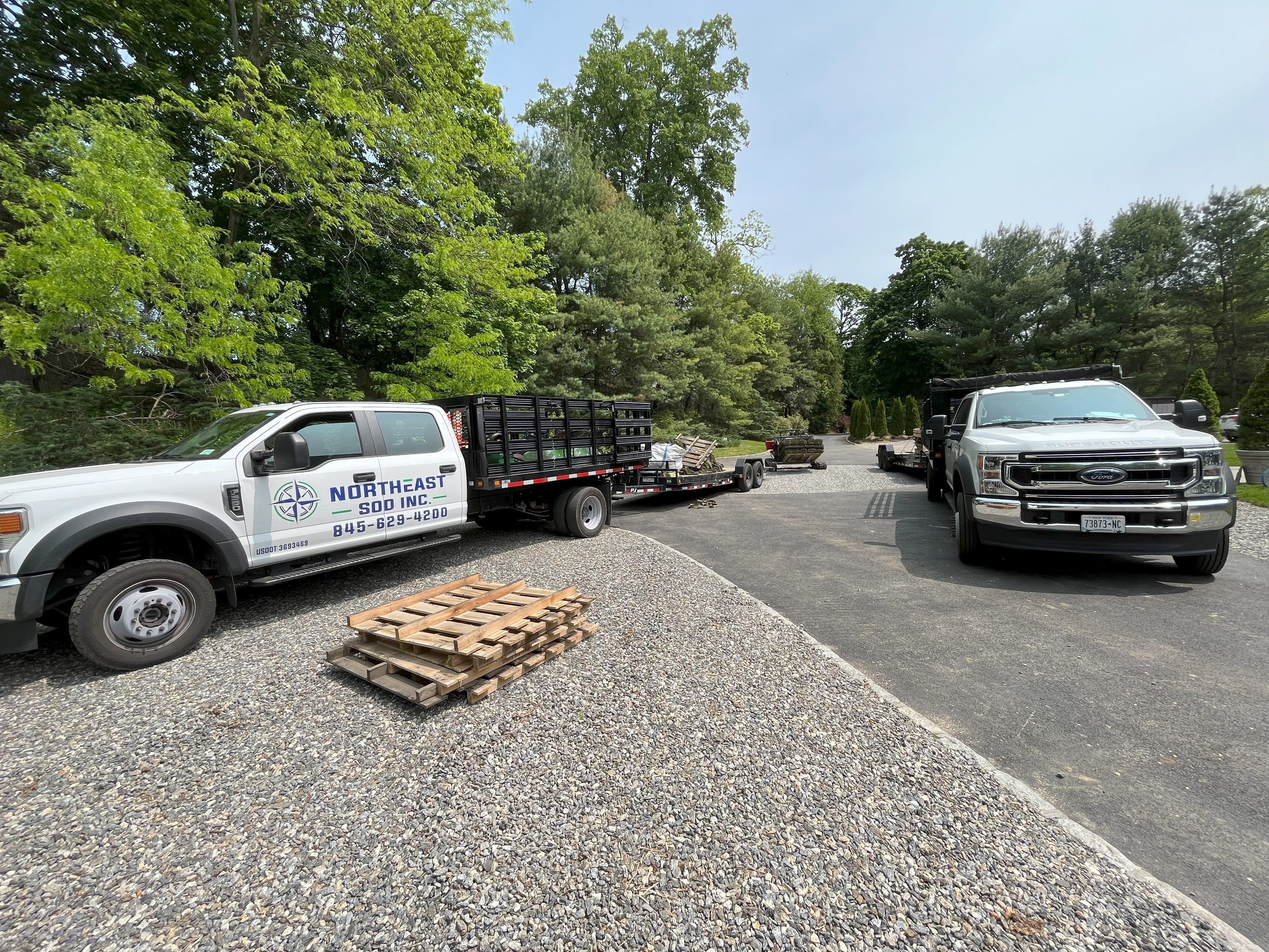 Northeast Sod Inc. logo