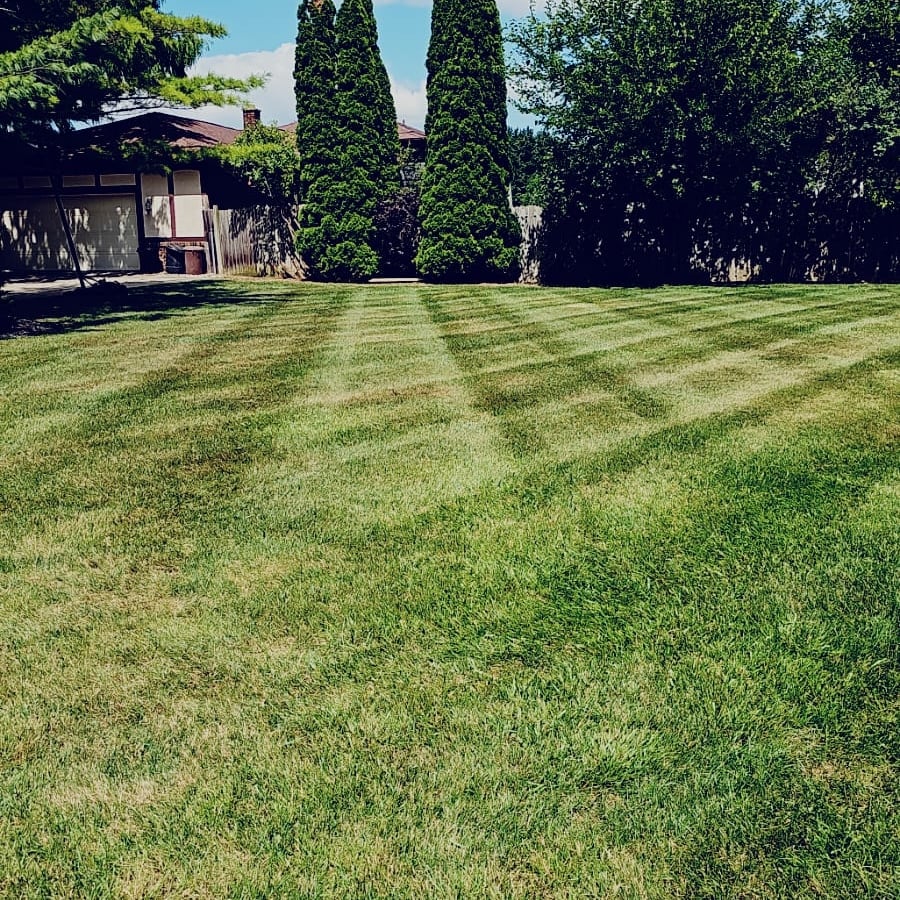 Avatar for Probity lawncare