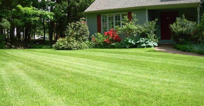 Ortega’s Lawn Care logo