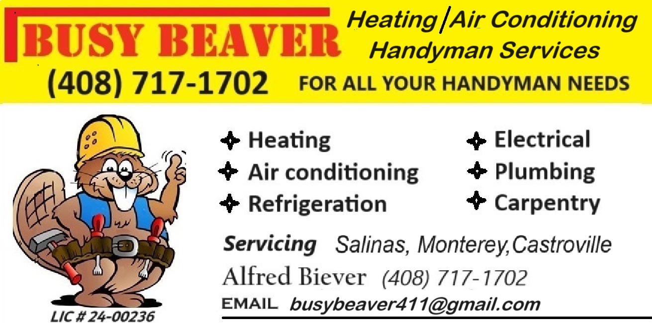 busy beaver logo