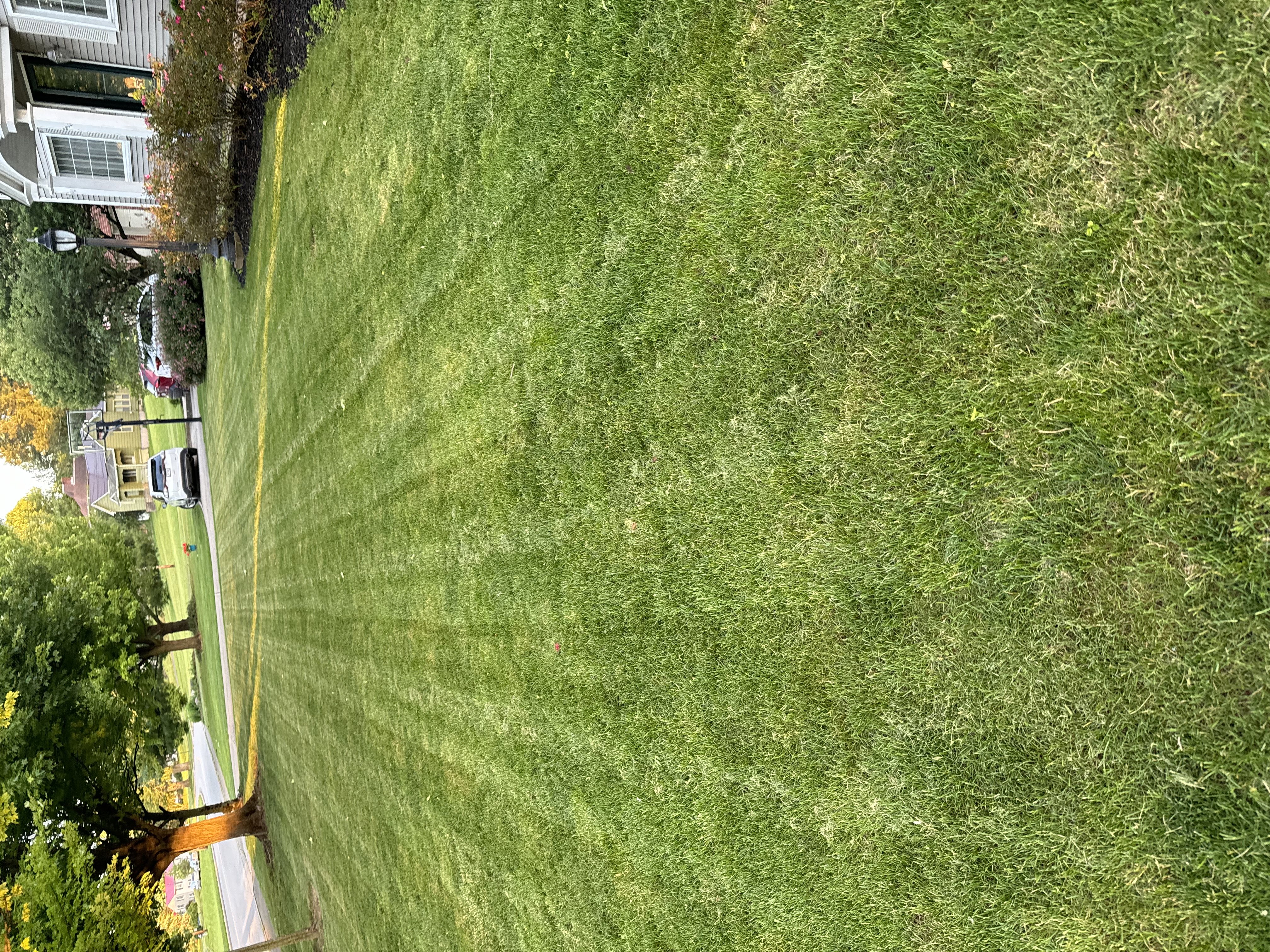 Avatar for Callender Landscaping