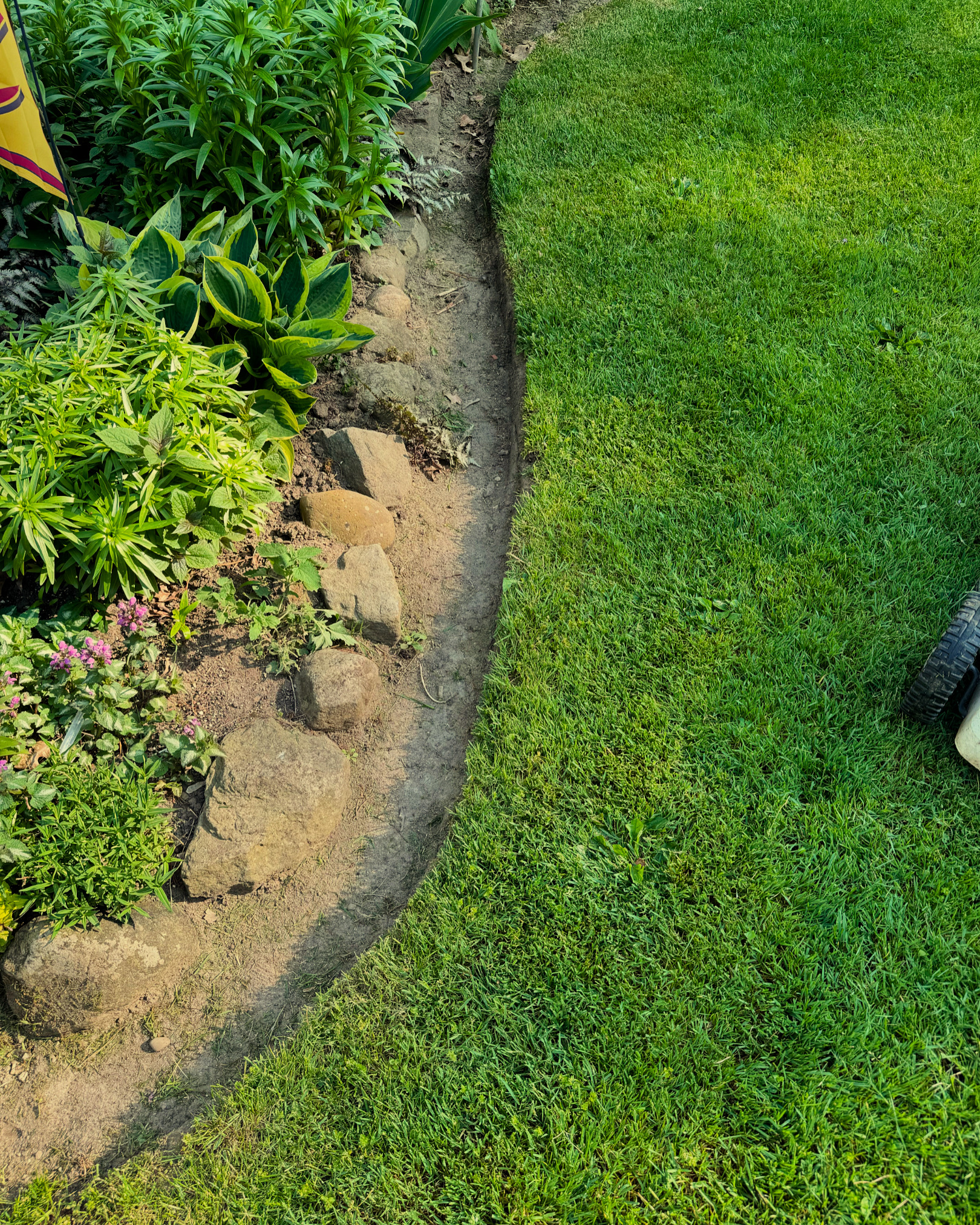 Avatar for Coulter Lawn