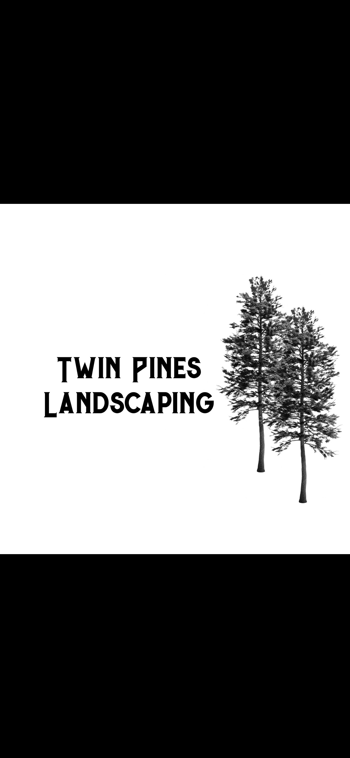 Avatar for Twin Pines Landscaping