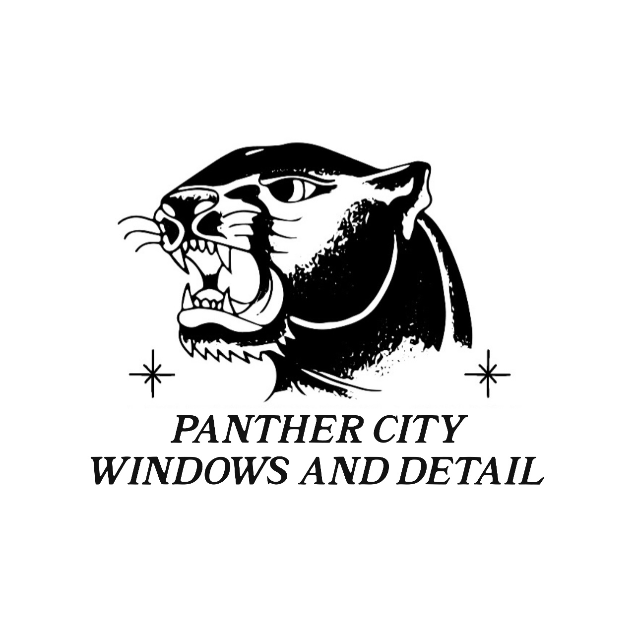 Avatar for Panther City Windows and Detail