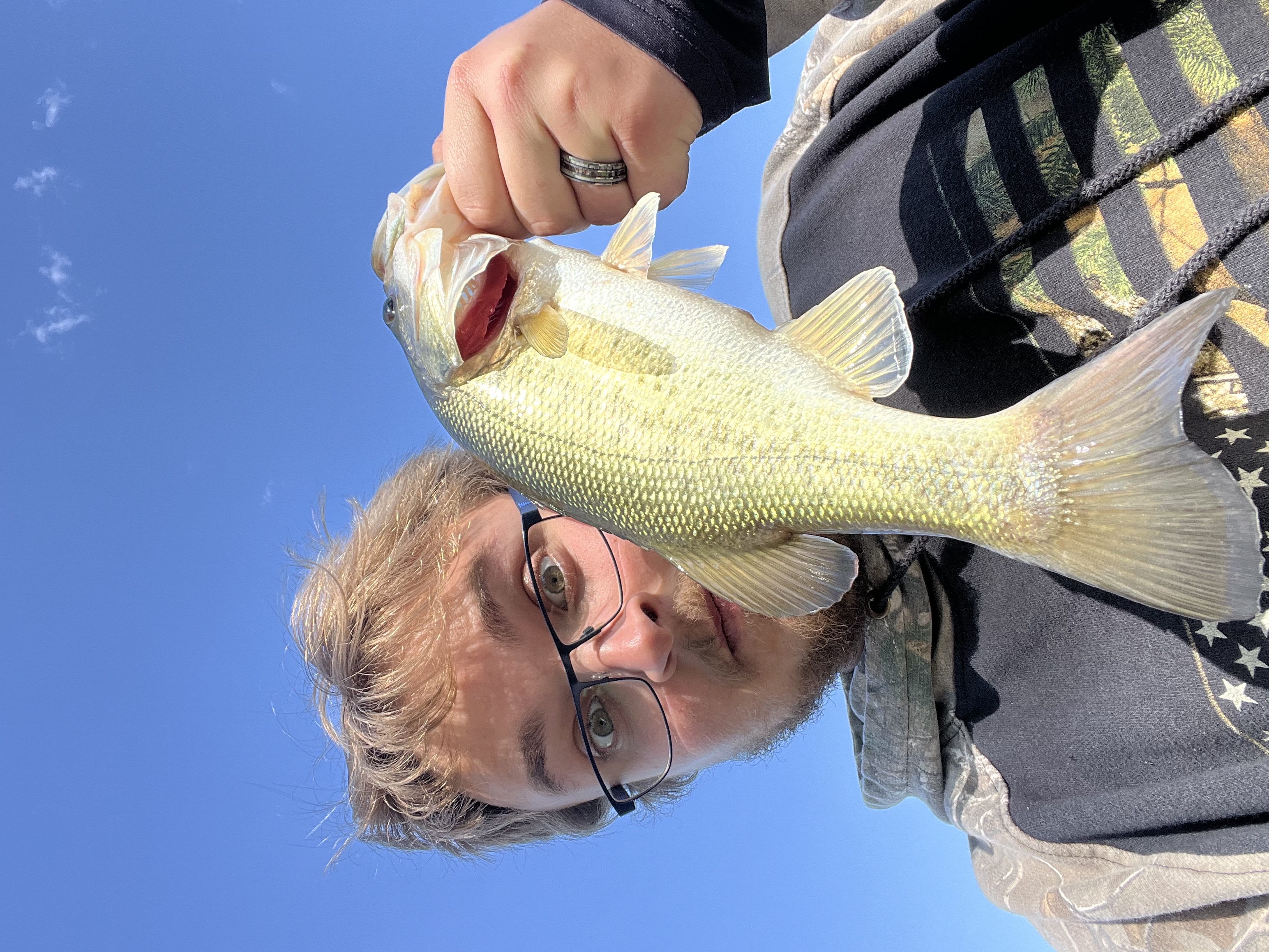 Densmore pressure washing logo