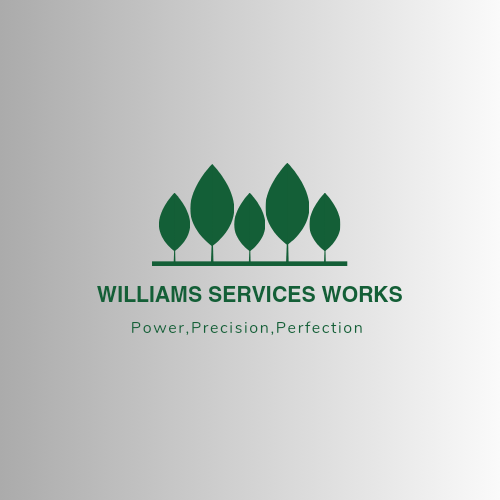 Williams services works logo
