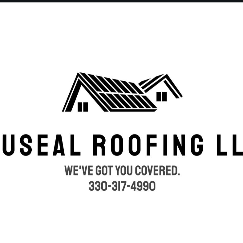 NuSeal Roofing logo