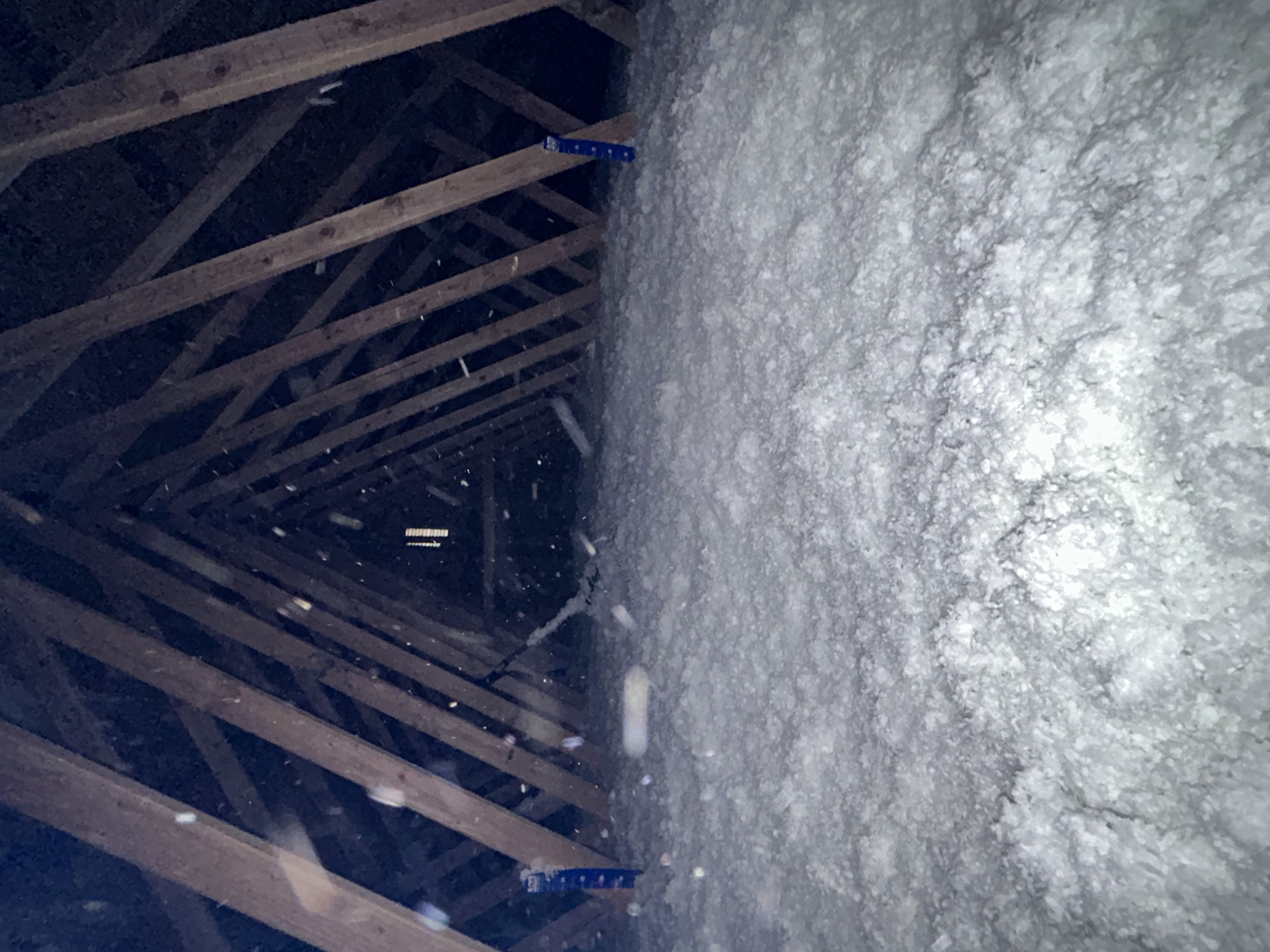 Avatar for J insulation