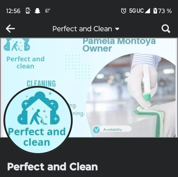 Perfect and clean logo