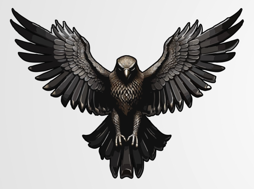 Avatar for Eagle Outdoor Solutions