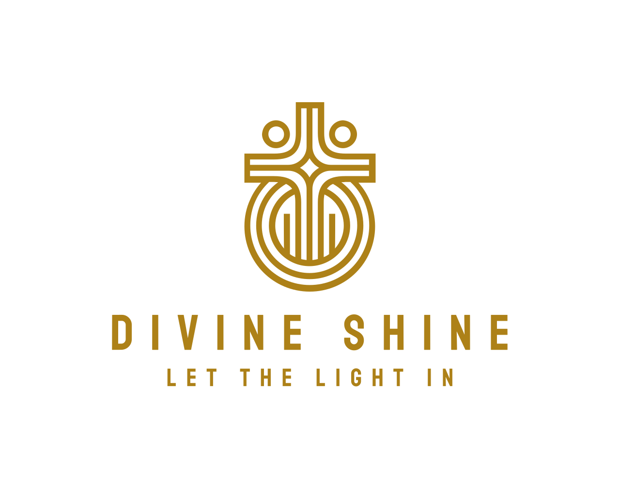 Divine Shine logo