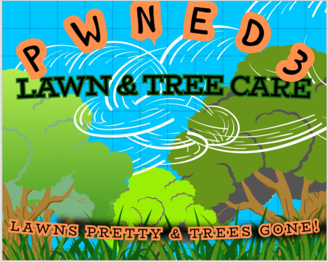 Avatar for Pwned3 LLC