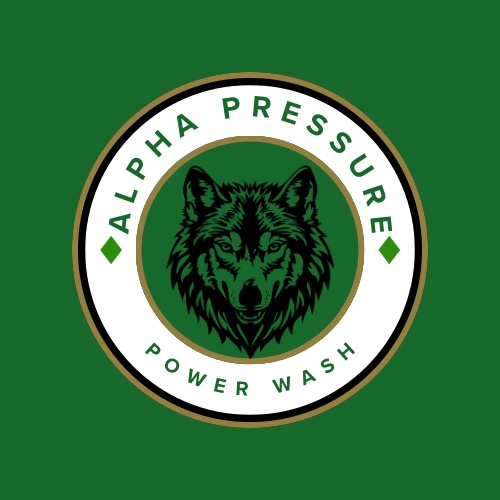 Avatar for AP PRESSURE WASHING SERVICE