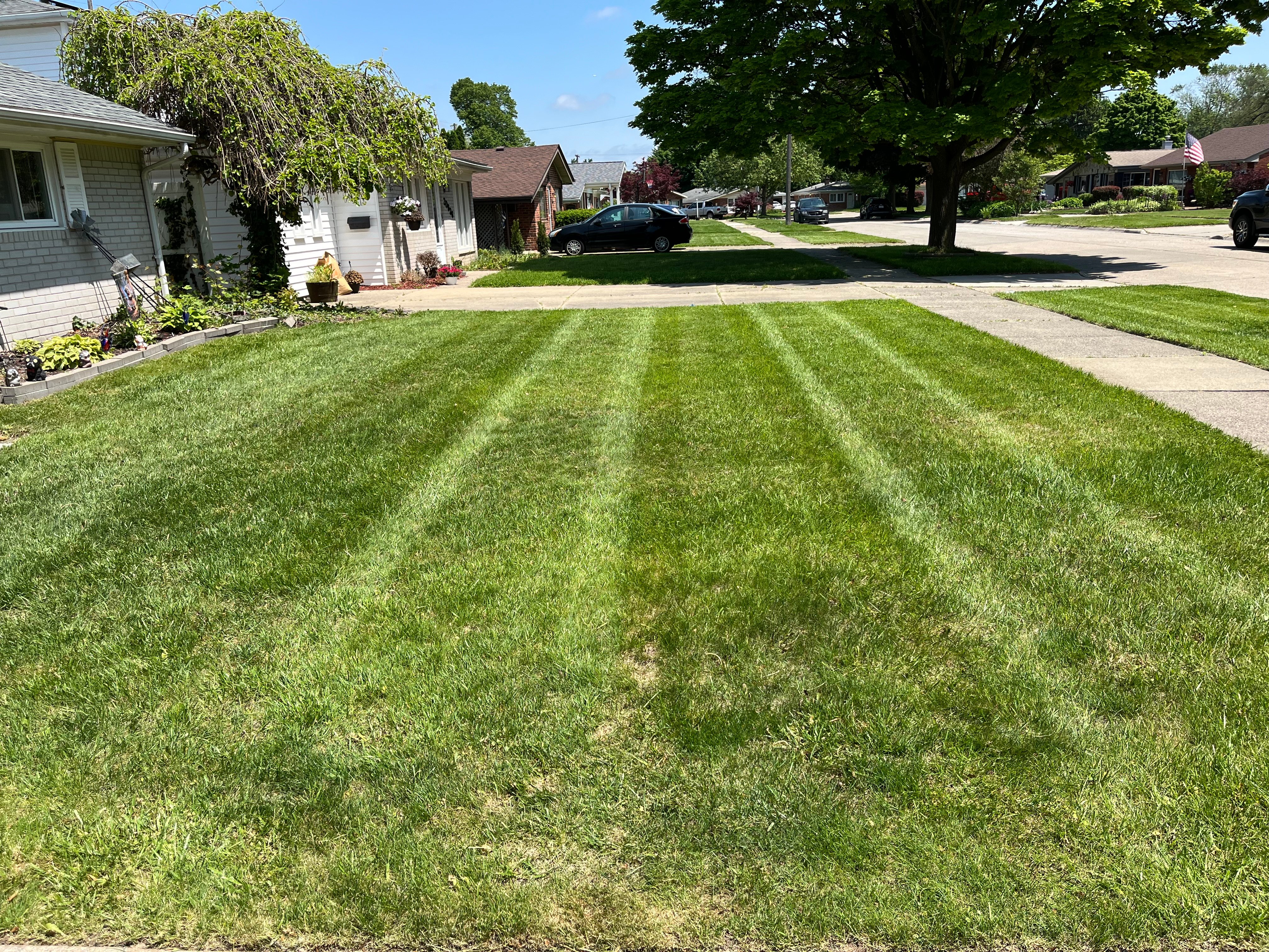 Avatar for P&G landscaping