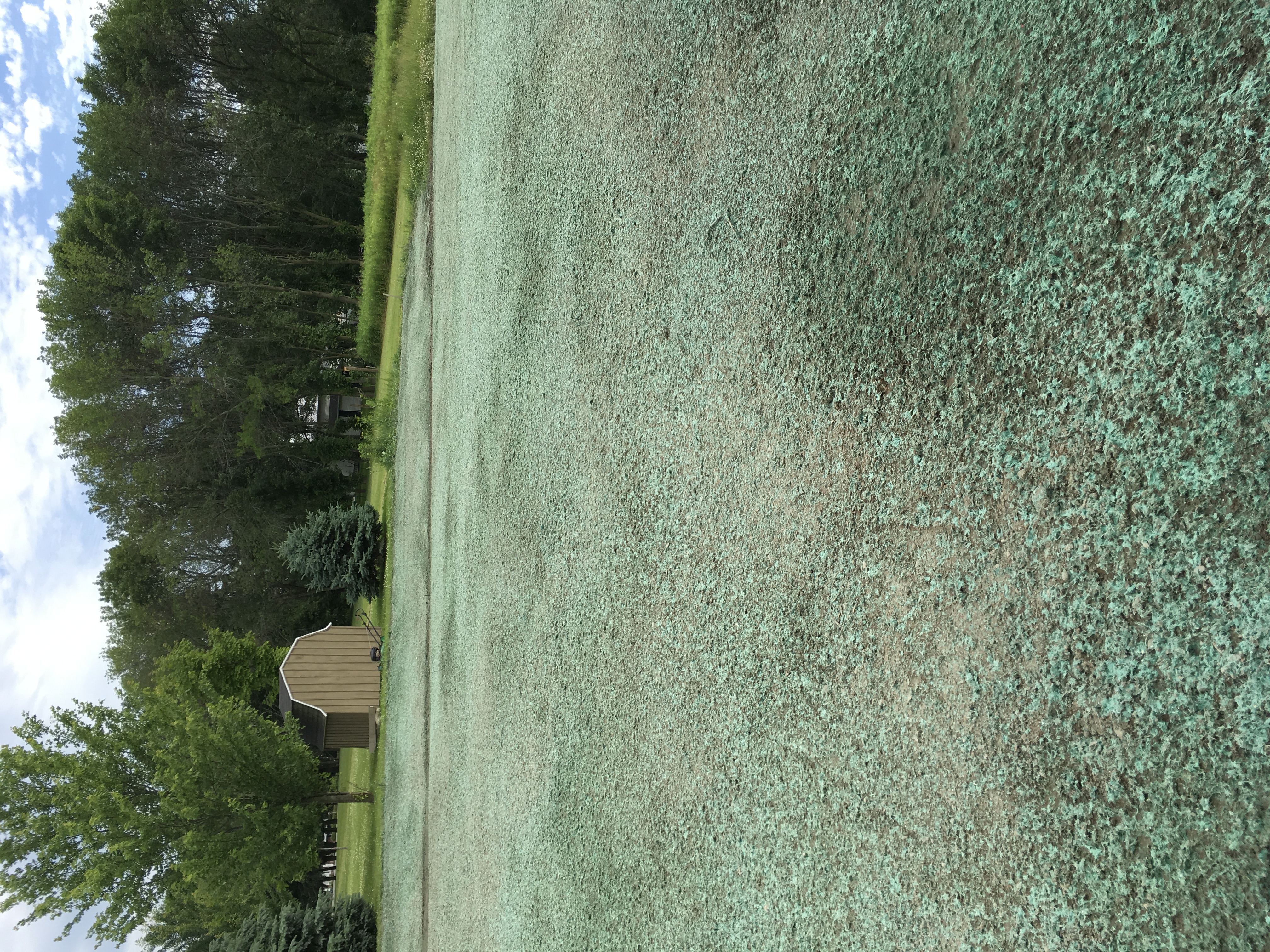 Avatar for Hydrolawns