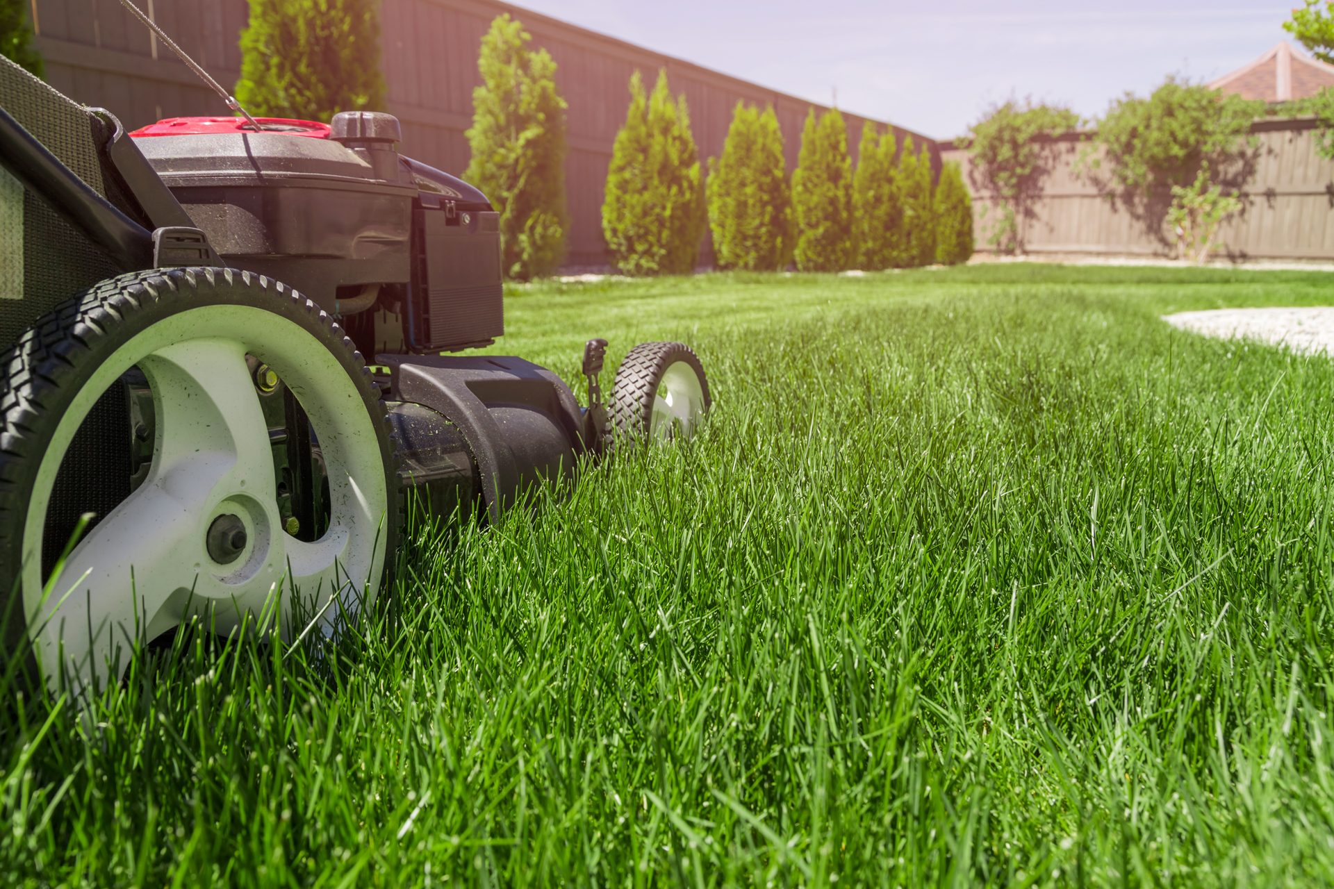 Avatar for MNM lawn care