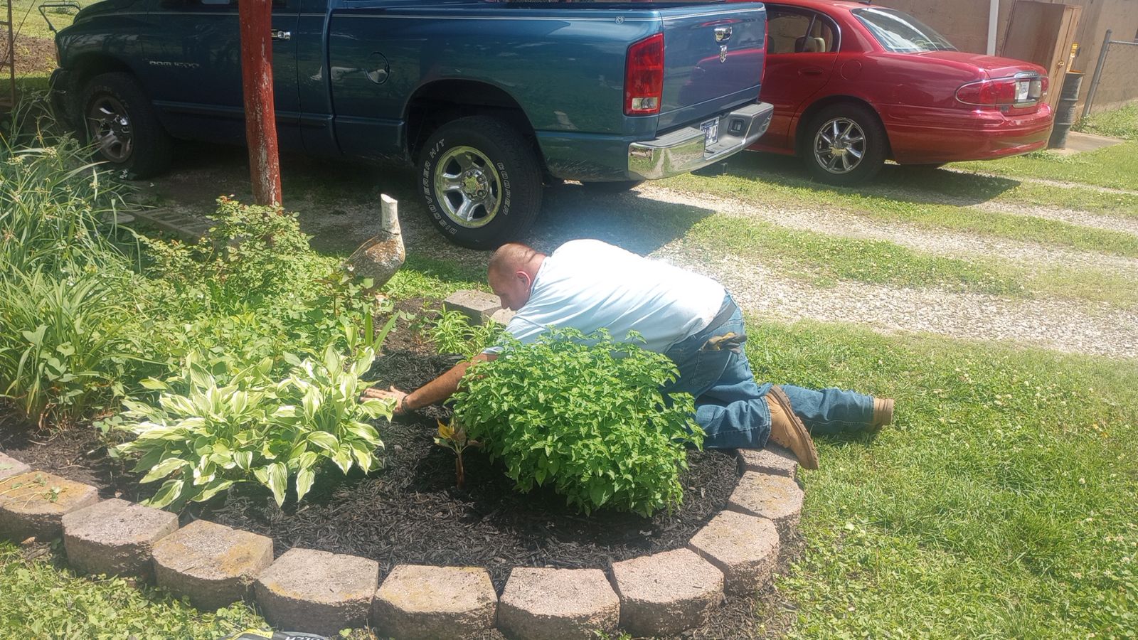 Michael and dainelle handyman and landscaping logo