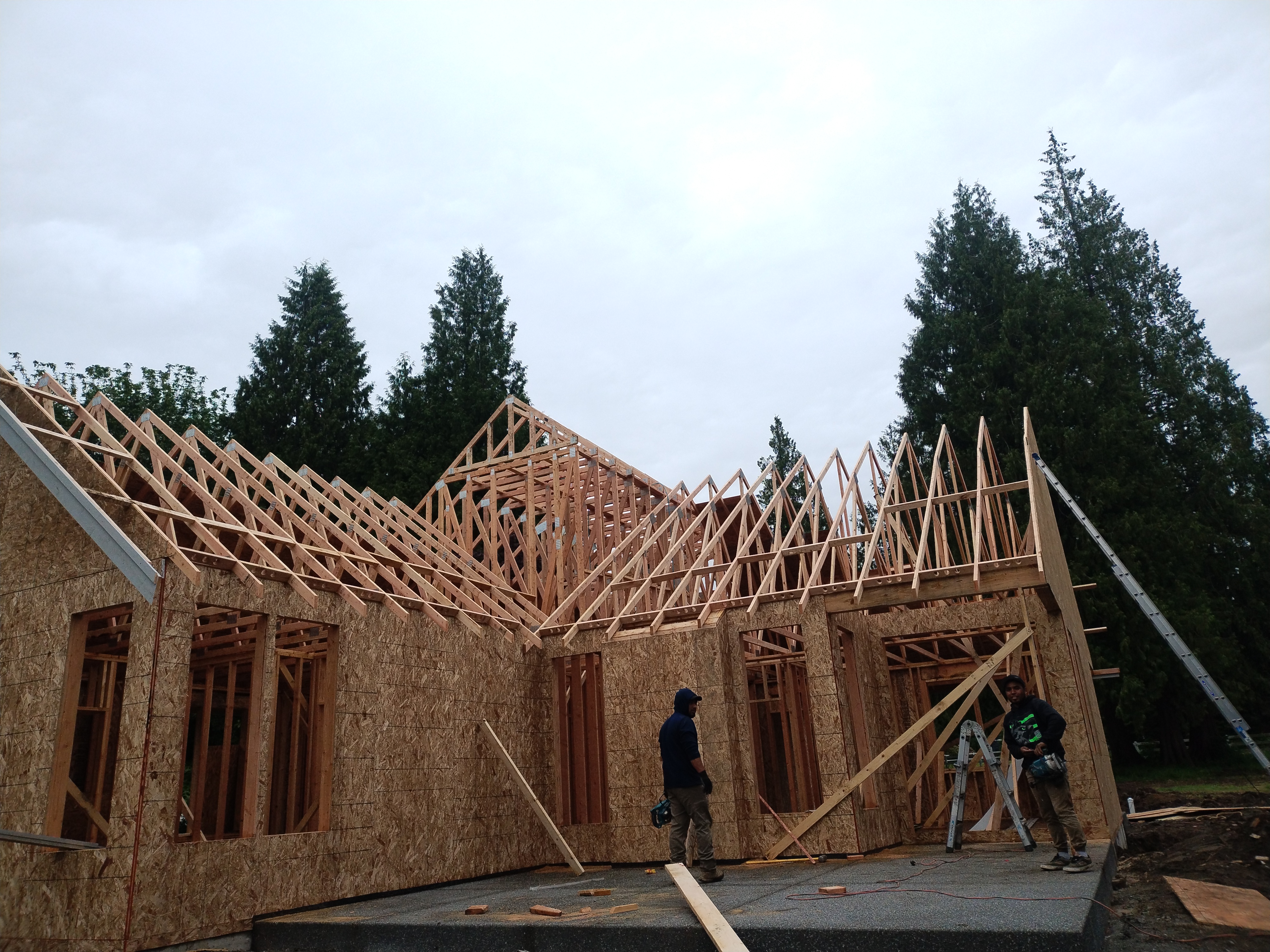 Avatar for José valderramos