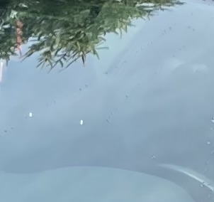 Avatar for Clearly it’s windows