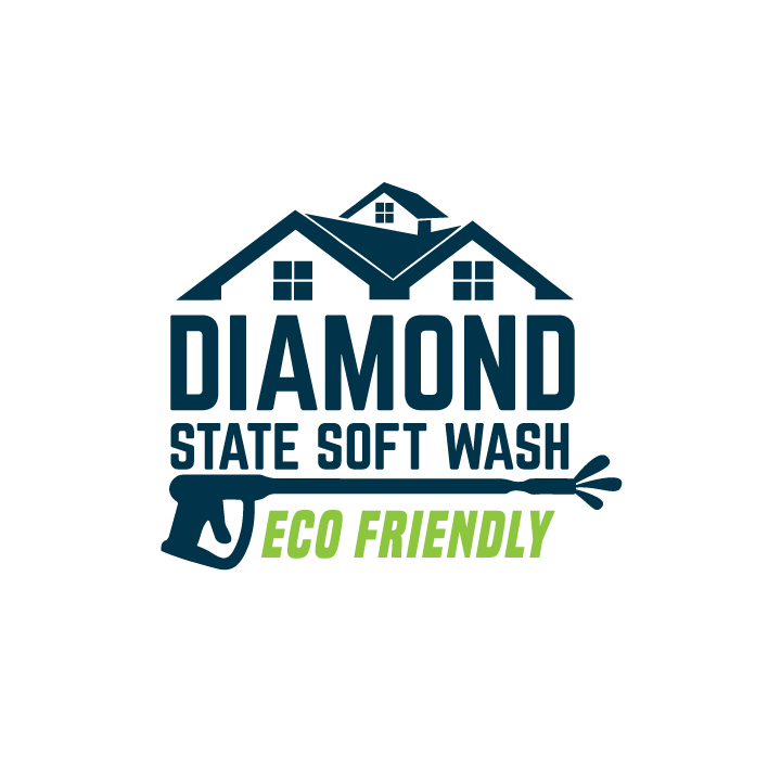 Diamond State Soft Wash logo