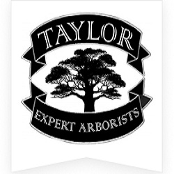 Avatar for Taylor Expert Arborists