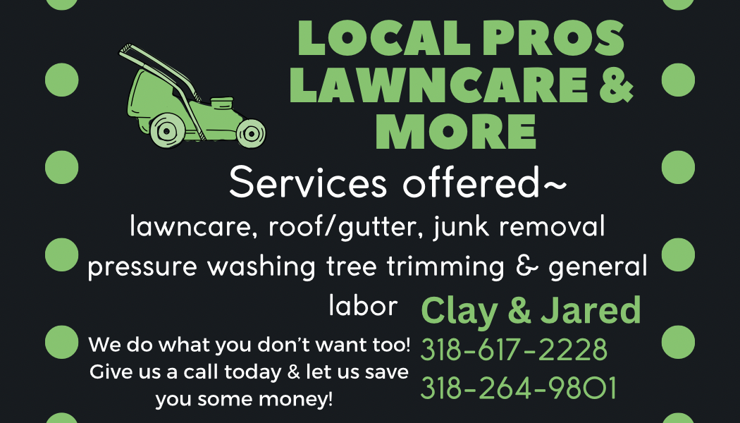 Avatar for Local pros lawn care