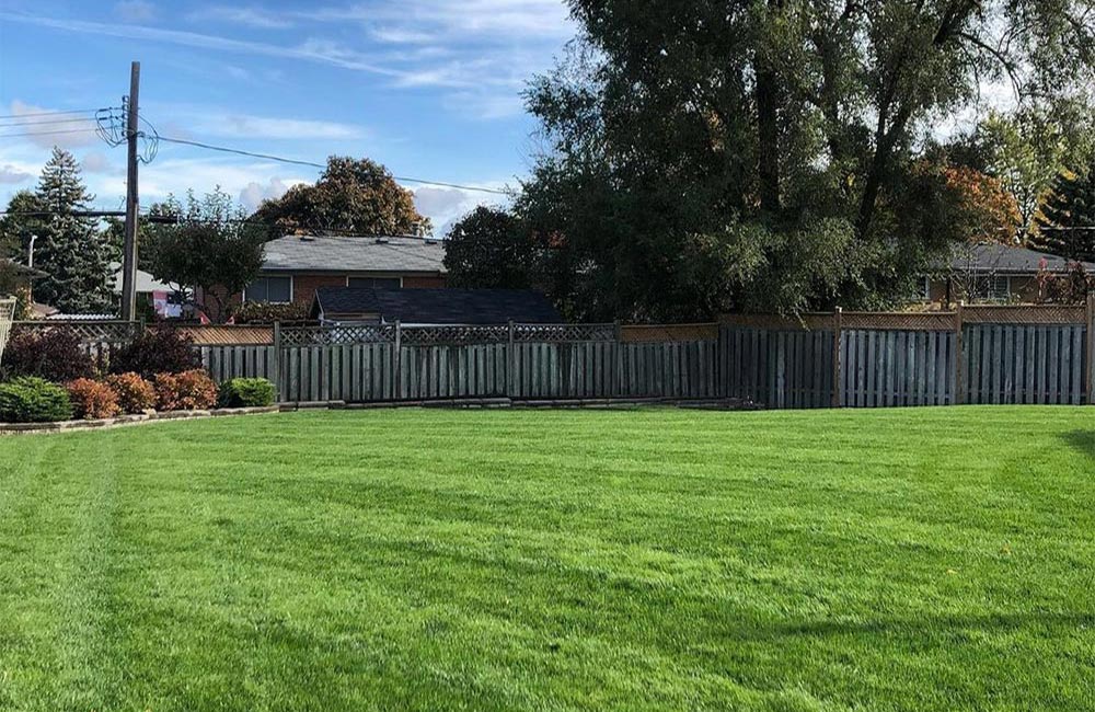 Avatar for BL Landscaping