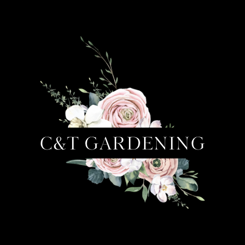 Avatar for T & C gardening