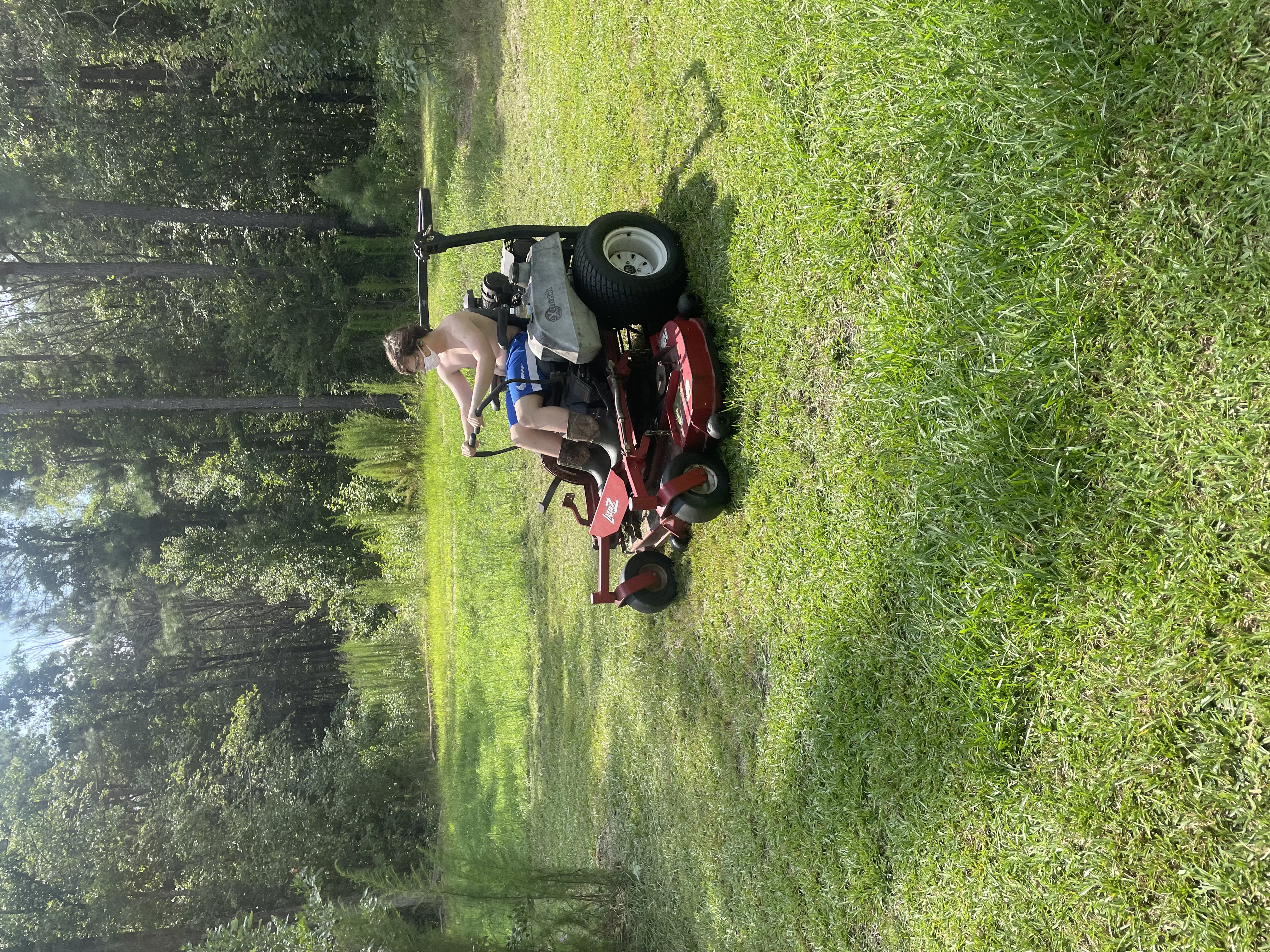 Avatar for Green 365 lawn care and landscaping