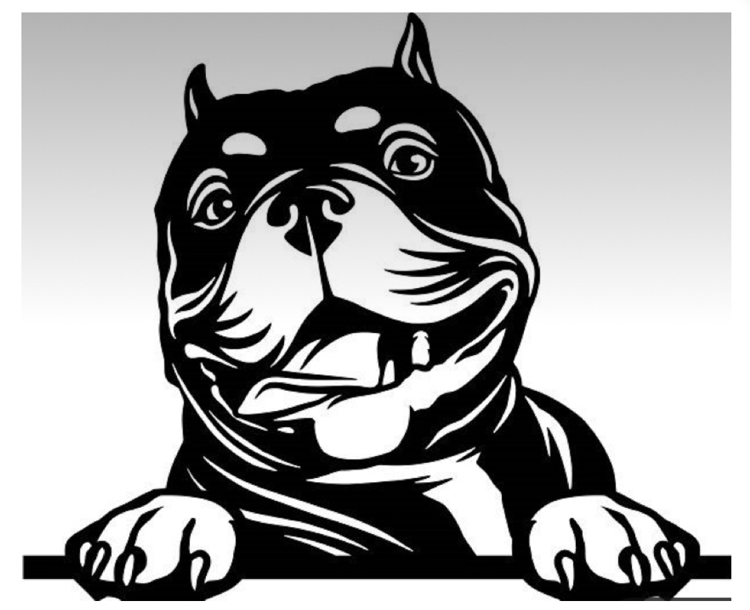 Avatar for Big Dog Solutions LLC