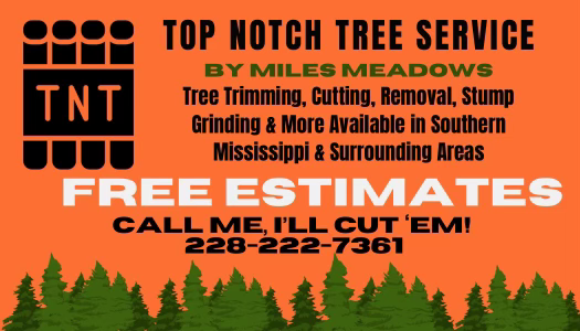 Avatar for TNT Tree Removal