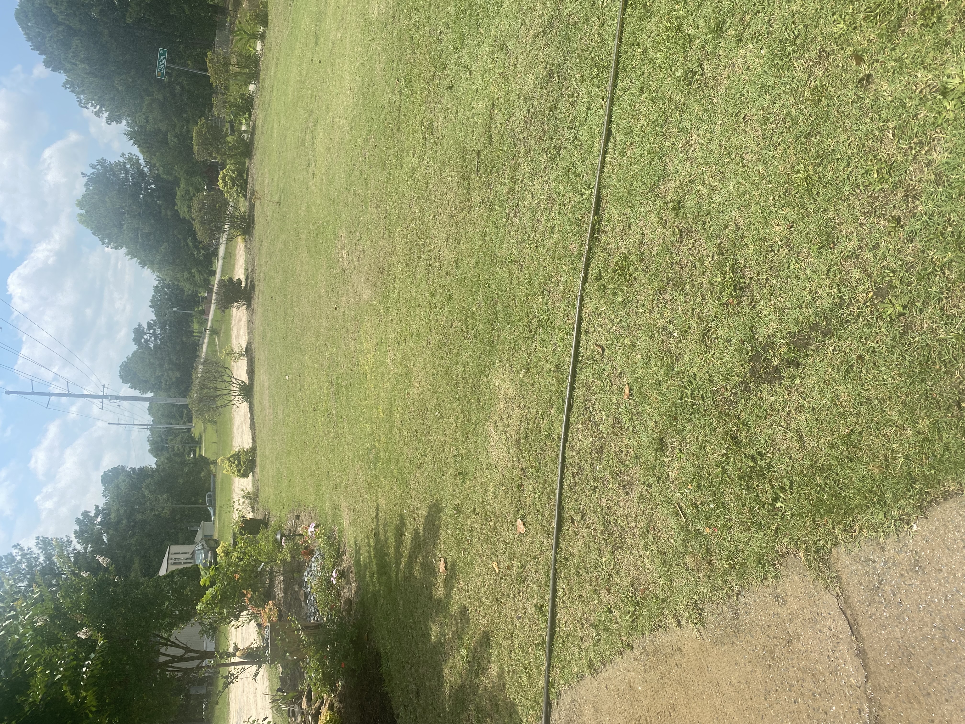 Avatar for Brandon’s yard work