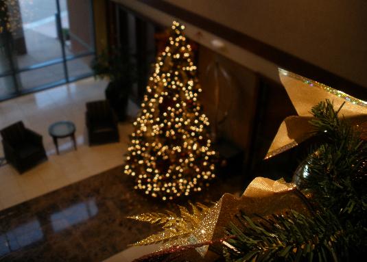 Avatar for Holidaylightsdecorators.com