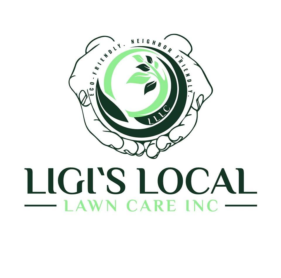 Avatar for Ligi's Local lawn Care