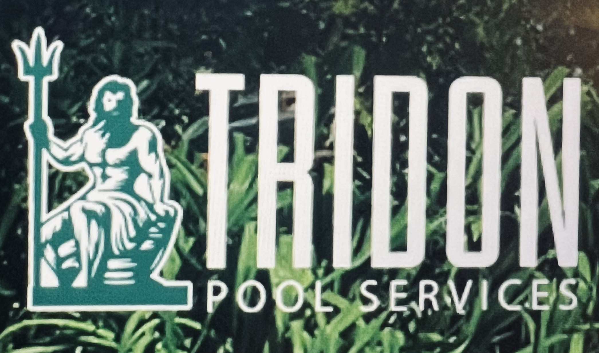 Avatar for Tridon Pool Services