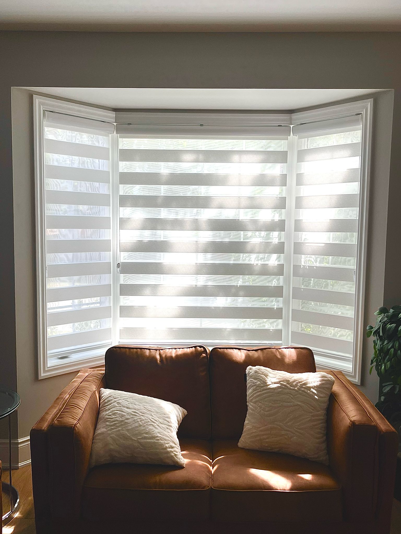 Avatar for CRESCENDO BLINDS