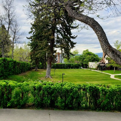 Aspen Lawns logo