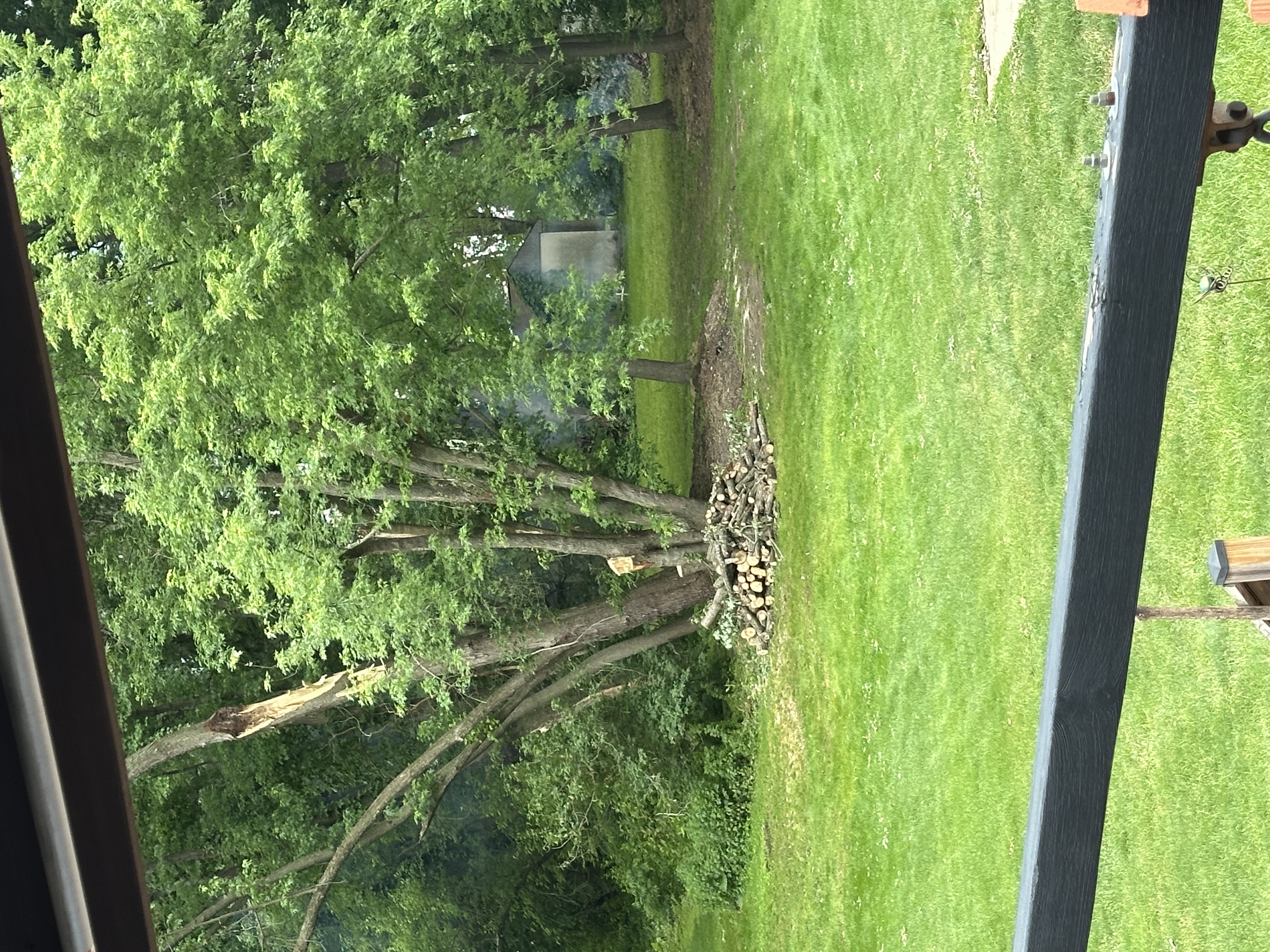 Avatar for Storey’s yard works