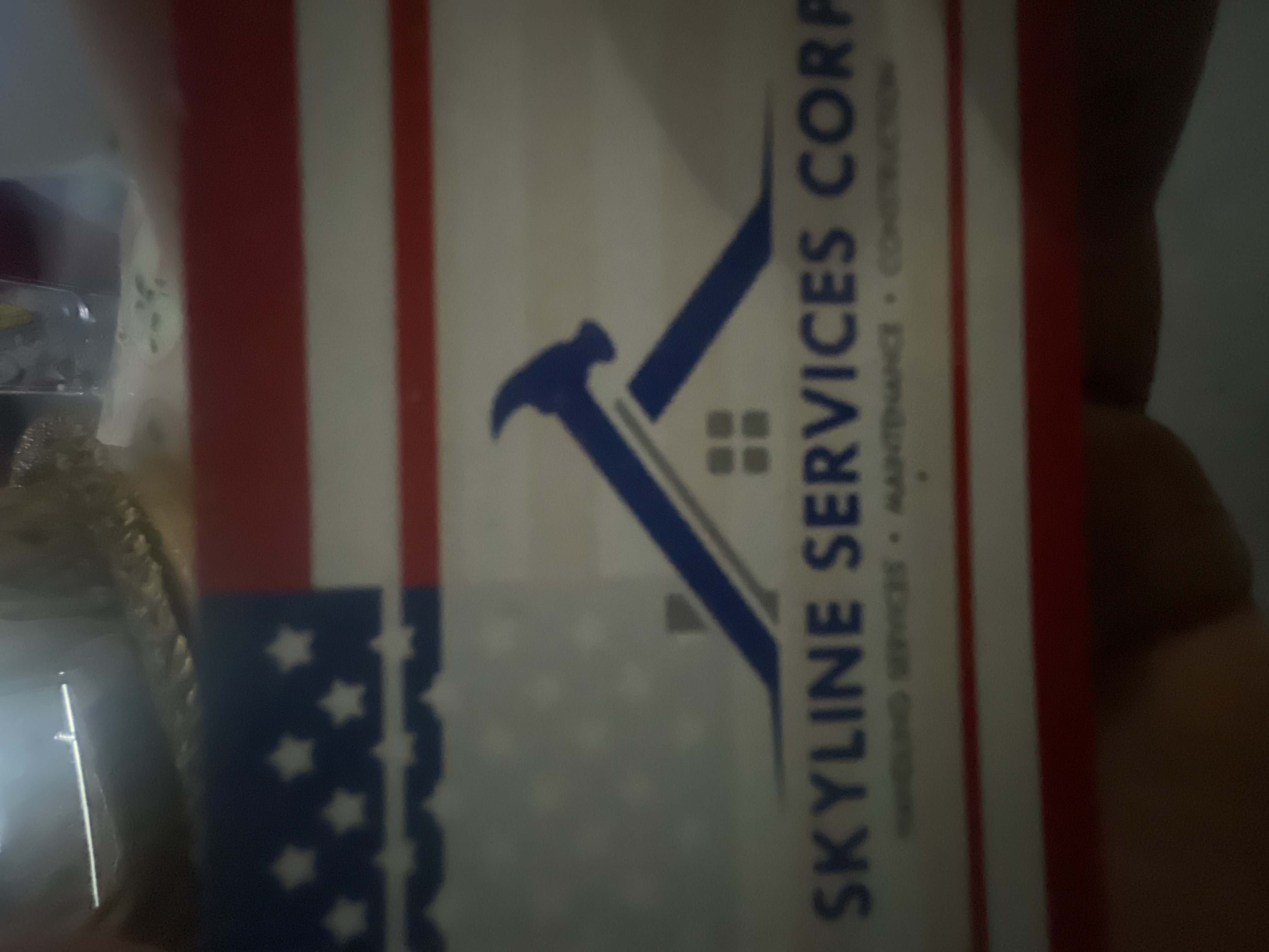 Skyline  services logo