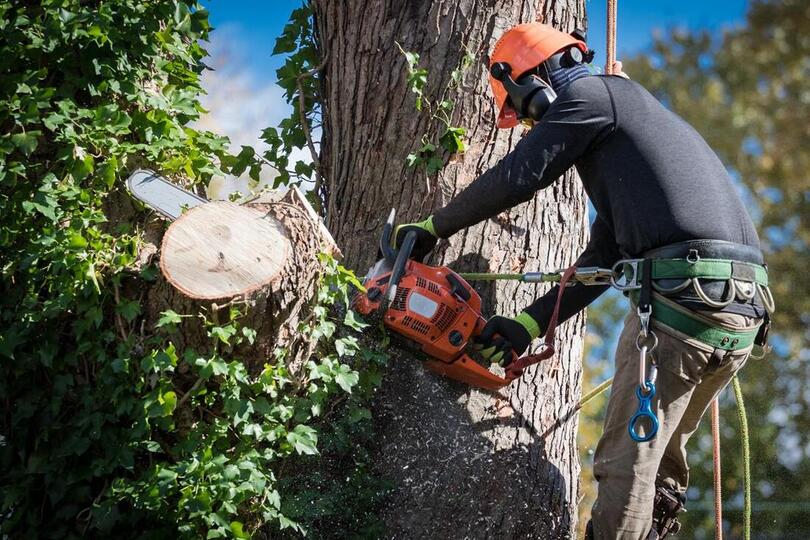 Avatar for Marysville Tree Service Company