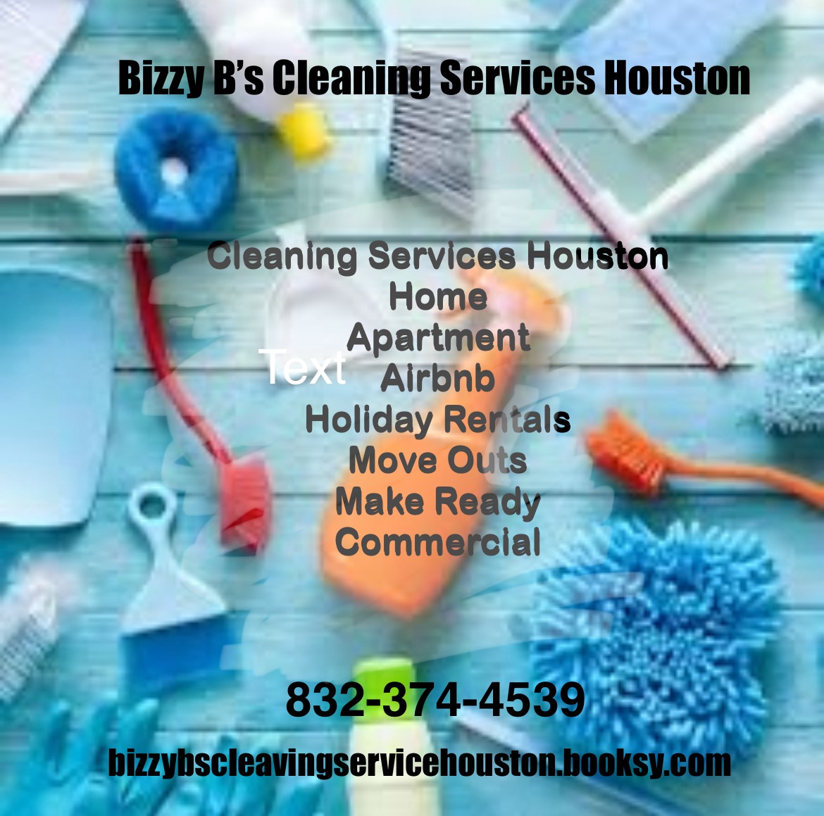 Bizzy Bs Cleaning Services Houston logo