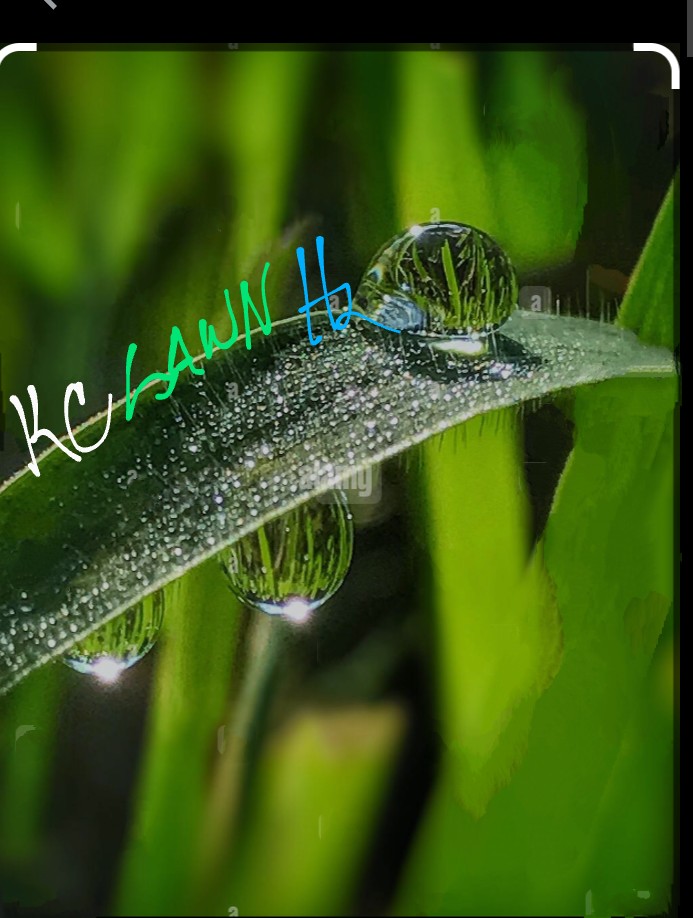 Avatar for KC Lawn H2O