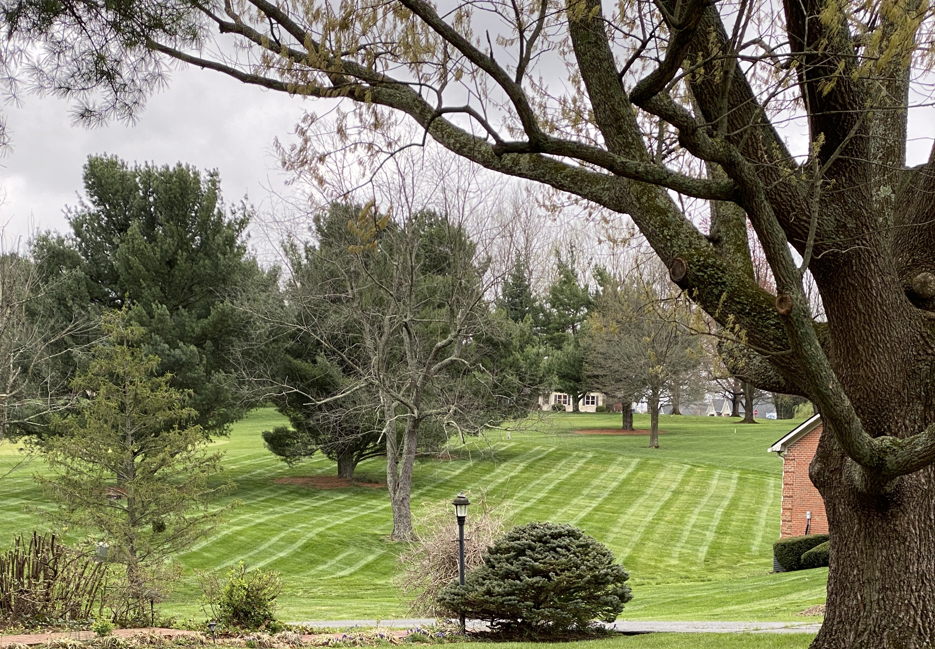 Contreras Landscaping logo