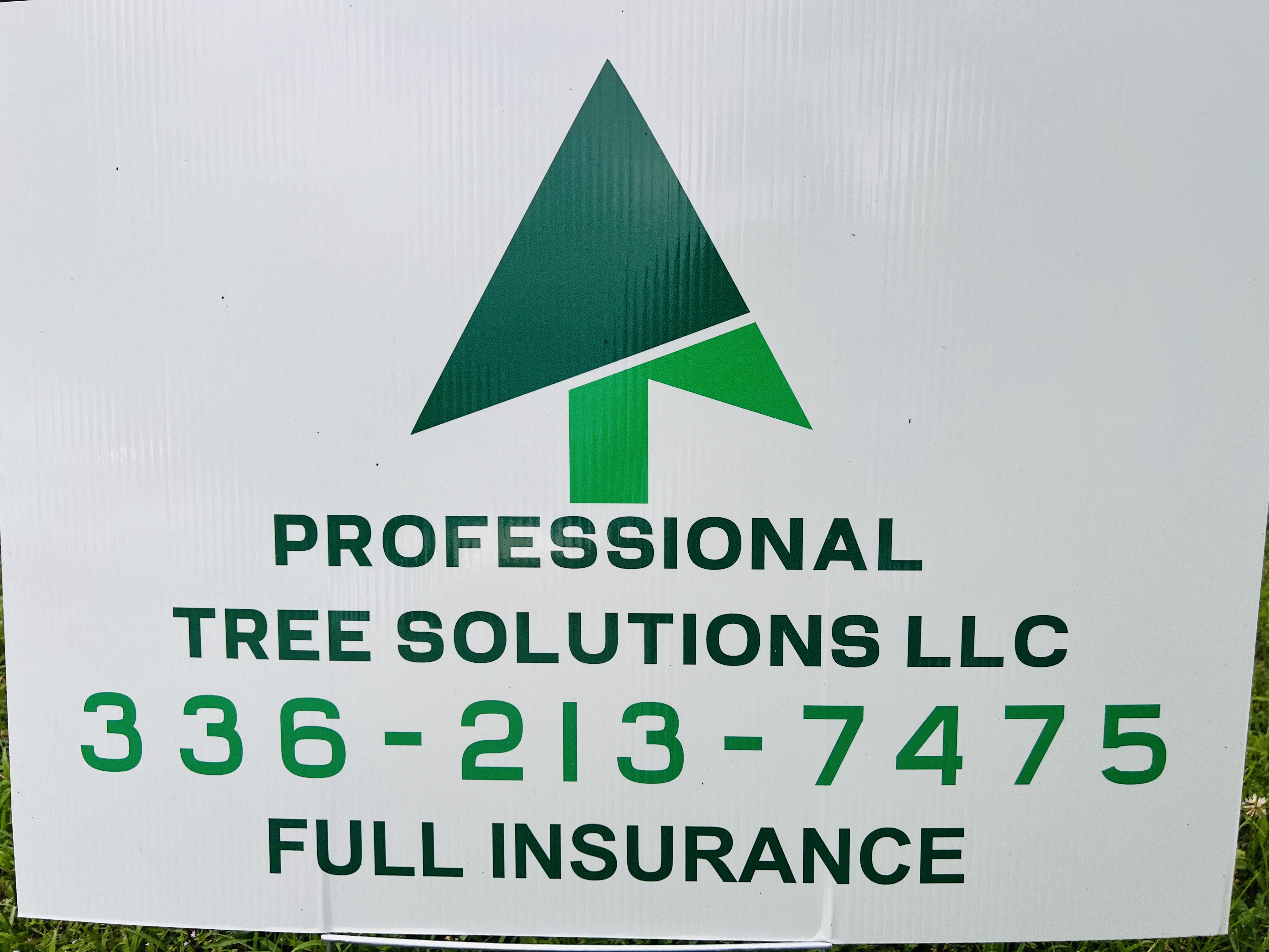 Profesional tree solutions logo