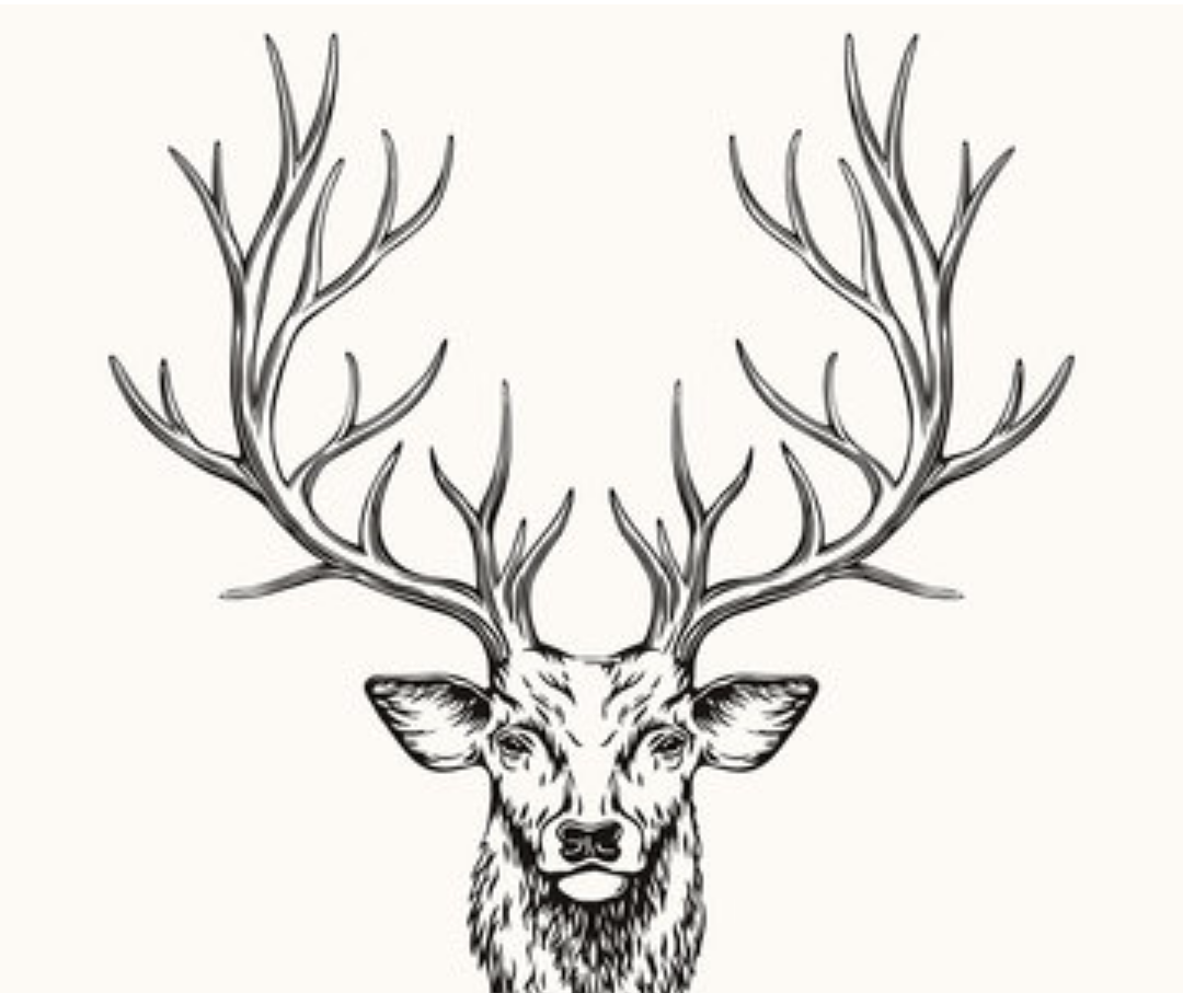 Bucklind const. logo